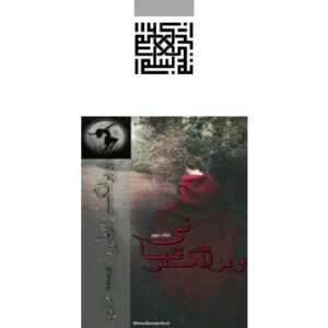 ویرانگر تنهایی جلد دوم