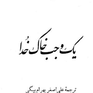 یک-وجب-خاک-خدا ارسکین کادول ک